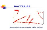 BACTERIAS BACTERIAS Docente: Bioq. María Inés Rubio.