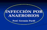 INFECCIÓN POR ANAEROBIOS Prof. Germán Pardi. INFECCIONES POR ANAEROBIOS EN CAVIDAD BUCAL De fuente endógena. De fuente endógena. Mixtas Mixtas Sinérgicas.