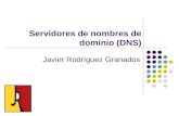 Servidores de nombres de dominio (DNS) Javier Rodríguez Granados.