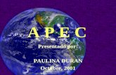 A P E C Presentado por: PAULINA DURAN Octubre, 2001.