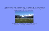 “Desarrollo de Energético Sostenible en Patagonia Chilena: Una Crítica Amplia al Estudio de Impacto Ambiental de HidroAysén ” Resumen del Informe Final.