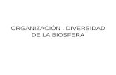 ORGANIZACIÓN. DIVERSIDAD DE LA BIOSFERA. 1. ORGANIZACIÓN DE LA BIOSFERA.