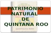 PATRIMONIO NATURAL DE QUINTANA ROO. ¿QUÉ ES EL PATRIMONIO NATURAL? La UNESCO define Patrimonio Natural como el conjunto de valores naturales que tienen.