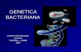 GENETICA BACTERIANA Cátedra Microbiología General FACENA – UNNE 2007.