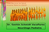 Dr. Gastón Schmidt Vacaflores Neurólogo Pediatra Neurólogo Pediatra Caja Nacional de Salud Hospital Materno Infantil.