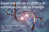 David Malfeito Moreno y Andrea Peñas Castro. Ciencias para el Mundo Contemporáneo. 1ºE Experimento de Griffith y la continuación de su trabajo.