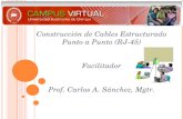 Construcción de Cables Estructurado Punto a Punto (RJ-45) Facilitador Prof. Carlos A. Sánchez, Mgtr.