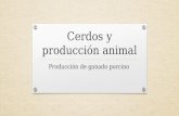 Cerdos y producci³n animal Producci³n de ganado porcino
