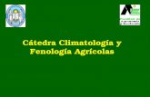 Cátedra Climatología y Fenología Agrícolas. REGIMEN DE PRECIPITACIONES.