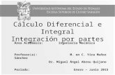 Cálculo Diferencial e Integral Integración por partes Área Académica: Ingeniería Mecánica Profesor(a): M. en C. Yira Muñoz Sánchez Dr. Miguel Ángel Abreu.