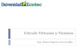 Circulo Virtuoso y Viciosos Ing. Alison Piguave García MSc.
