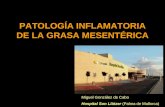 PATOLOGÍA INFLAMATORIA DE LA GRASA MESENTÉRICA Miguel González de Cabo Hospital Son Llàtzer (Palma de Mallorca)