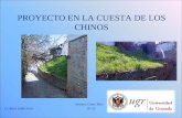 PROYECTO EN LA CUESTA DE LOS CHINOS Antonio Giner Ruiz CURSO 2009-2010 Nº 21.