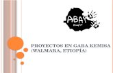 PROYECTOS EN GABA KEMISA (WALMARA, ETIOPÍA). ¿Q UÉ ES ABAY? Es una asociación sin ánimo de lucro, entidad de interés social, cuya finalidad es promover.
