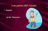 Las partes del cuerpo Español by Mr. Thaureaux. Las partes del cuerpo Hoy, vamos a hablar de las partes del cuerpo Aprenderemos cómo decir dónde nos duele.
