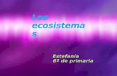 Los ecosistemas Estefanía 6º de primaria. Los ecosistemas.