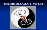 EMBRIOLOGIA Y MTCH. TEORÍA EMBRIOLÓGICA Una de las etapas embriológicas por las que pasa el huevo fecundado es la llamada gástrula Una de las etapas embriológicas.