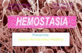 Mapa conceptual de la hemostasia Involucra la intima vascular y las plaquetas, en la descamacion y lesiones pequeñas en los vasos sanguineos, produsiendo.