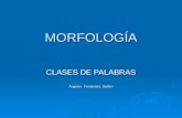 MORFOLOGÍA CLASES DE PALABRAS Ángeles Fernández Bañón.