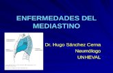 ENFERMEDADES DEL MEDIASTINO Dr. Hugo Sánchez Cerna NeumólogoUNHEVAL.