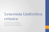 Leucemia Linfocítica crónica Luis Humberto Cruz Contreras Residente Anatomía patológica Hospital General «Dr. Miguel Silva»
