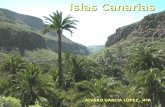 Islas Canarias ALVARO GARCÍA LÓPÈZ 4ºA. El Clima Canario El clima es subtropical oceánico. Hay variaciones muy importantes en cuanto a las precipitaciones.