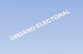 ESTRUCTURA DEL ÓRGANO ELECTORAL TRIBUNAL SUPREMO ELECTORAL El Tribunal Supremo Electoral es el máximo nivel del Órgano Electoral, tiene jurisdicción.