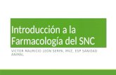 Introducción a la Farmacología del SNC VICTOR MAURICIO LEÓN SERPA, MVZ, ESP SANIDAD ANIMAL.