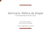 Seminario: Política de drogas Universidad Nacional de Lanús Lanús, Septiembre de 2014 Prof. Daniel Russo Prof. Daniel Hernández.