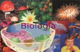 Biología. ¿Qué es Biología? Ciencia de la vida Estudia los organismos vivos y su interacción con el ambiente.