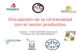 Vinculación de la Universidad con el sector productivo Autores: “ CAEF UVER/160 “Química de Productos con Actividad Biológica”