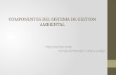 COMPONENTES DEL SISTEMA DE GESTION AMBIENTAL PRESENTADO POR: EDINSON HERNEY LARA LLANOS.