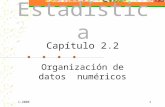 Organización de datos numéricos Estad í stica Capítulo 2.2.