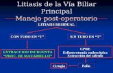 Litiasis de la Vía Biliar Principal Manejo post-operatorio LITIASIS RESIDUAL CON TUBO EN “T” SIN TUBO EN “T” EXTRACCION INCRUENTA “PROC. DE MAZARIELLO”