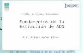 Fundamentos de la Extracción de ADN Cd. Obregón, Sonora a 26 de mayo de 2015 M.C. Arturo Muñoz Pérez I Taller de Técnicas Moleculares.