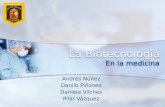 La Biotecnología En la medicina Andrés Núñez Danilo Piñones Daniela Vilches Pilar Vázquez.