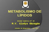 Unidad temàtica Nº 10 M.V. Gladys Obregón Cátedra de Bioquímica – Año 2014.