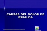 GIROMA S.A. Licencia SO 5263 DSSA CAUSAS DEL DOLOR DE ESPALDA.