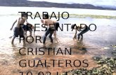TRABAJO PRESENTADO POR CRISTIAN GUALTEROS 10-03 J.T.