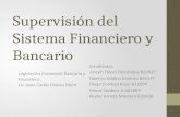 Supervisión del Sistema Financiero y Bancario Estudiantes Joseph Flores Fernández B32627 Fabricio Molina Jiménez B24197 Diego Cordero Rojas B12009 Minor.