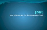 Java Monitoring by Introspection Tool. Equipo de Trabajo Tomás Fernández Löbbe Cristian Santilli Tutor Lic. Rosa Graciela Wachenchauzer.