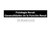 Fisiología Renal: Generalidades de la Función Renal Dr. Ricardo Curcó.