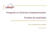 Posgrado en Sistemas Computacionales Pruebas de usabilidad MC Luz María Moreno Aguilar Diciembre 2009.