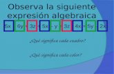 Observa la siguiente expresión algebraica 5x + 6y + 3z + 5x – y + 3z - 4x + 5y – 2x ¿Qué significa cada cuadro? ¿Qué significa cada color?