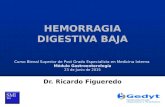 HEMORRAGIA DIGESTIVA BAJA Dr. Ricardo Figueredo Curso Bienal Superior de Post Grado Especialista en Medicina Interna Módulo Gastroenterología 23 de Junio.