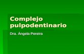 Complejo pulpodentinario Dra. Ángela Pereira. Complejo pulpodentinario  La dentina y la pulpa son embriológicamente,histológicamente y funcionalmente.