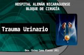 Trauma Urinario Dra. Irina Cano Flores (MI) HOSPITAL ALEMÁN NICARAGUENSE BLOQUE DE CIRUGÍA.
