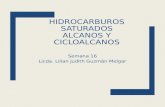 HIDROCARBUROS SATURADOS ALCANOS Y CICLOALCANOS Semana 16 Licda. Lilian Judith Guzmán Melgar.
