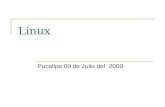 Linux Pucallpa 09 de Julio del 2009. Linux Introducción:  Hablar de Linux es hablar del Software Libre. El software libre se entiende como el conjunto.
