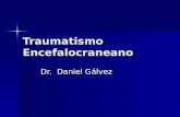 Traumatismo Encefalocraneano Dr. Daniel Gálvez Dr. Daniel Gálvez.
